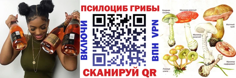 Псилоцибиновые грибы прущие грибы  Купить закладки  Сатка 